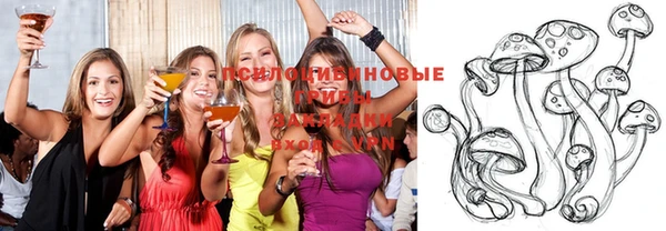 стафф Семикаракорск