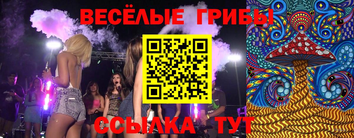 Тара  Галлюциногенные грибы Psilocybine cubensis  Псилоцибиновые грибы Cubensis  Вход с VPN 
